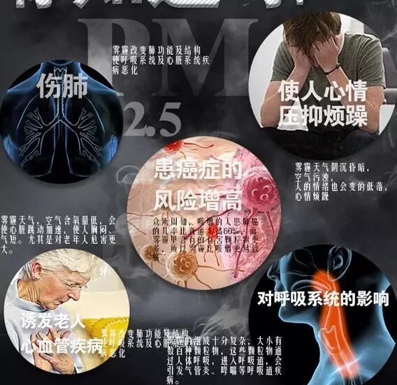 雾霾产生的疾病—91好色先生TV在线下载